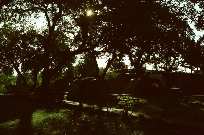 Canvas Tents and Common Ground: How America's Campgrounds Lost Their Democratic Soul