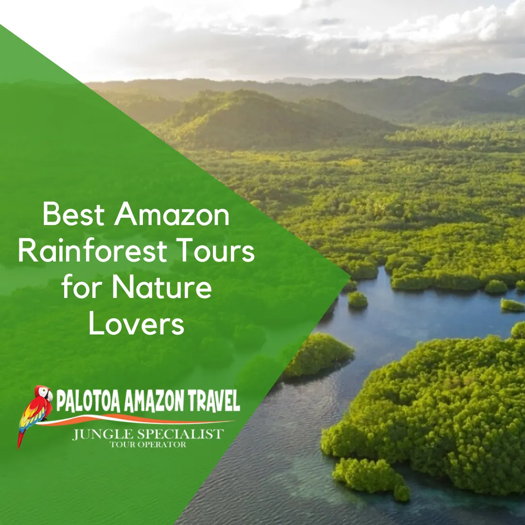 Amazon rainforest